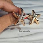 گوشواره ستاره دریایی کد 2045 - Image 2