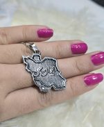 پلاک ایران من استیل رنگ ثابت کد 8013 - Image 2