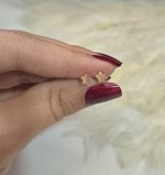 گوشواره ستاره ای ژوپینگ کد 2114 - تصویر 2